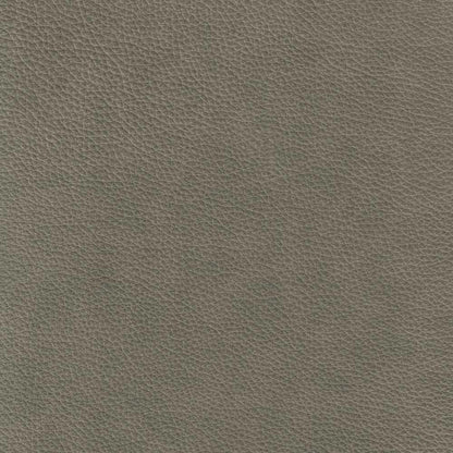 Hydeline - Solana Chair in Chico Slate - 66766-10V03-LS2083 veiw 2