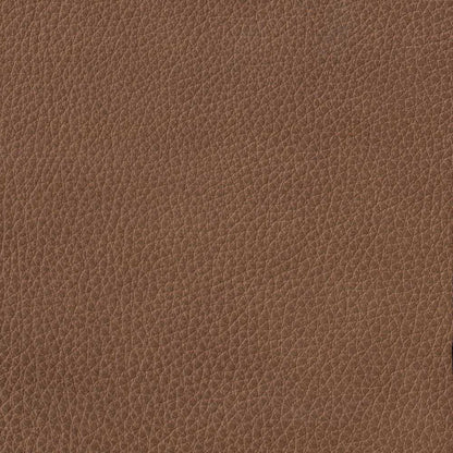 Hydeline - Solana Chair in Cinnamon Brown - 66766-10V03-LS2085 veiw 2