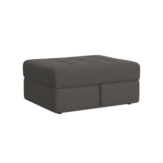 Picket House Furnishings - Harleigh Storage Ottoman in Palmer Plus Ash - U-15020-11403-001 veiw 1