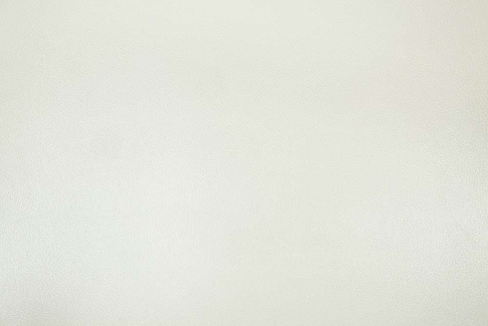 ACME Furniture - Adara Chair w/2 Pillows - Antique White - LV01226 veiw 5