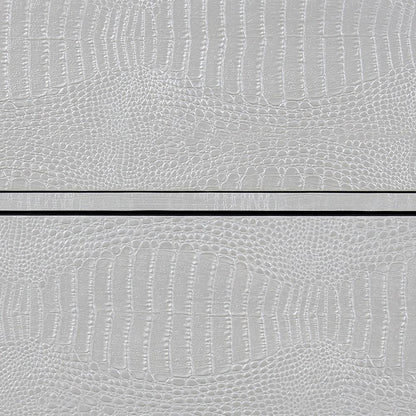 ACME Furniture - Anpu Console Cabinet - Silver Faux Crocodile Skin Finish - AC02505 veiw 5