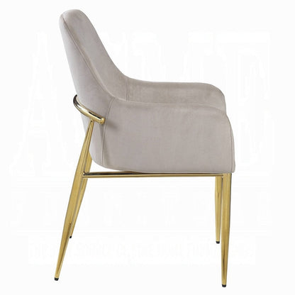 ACME Furniture - Barnard Side Chair (Set of 2) - DN00220 view 3