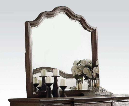 ACME Furniture - Baudouin Mirror - 26114 veiw 1