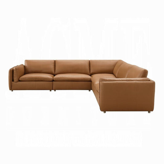 ACME Furniture - Brighton Modular Sectional Leather - Brown Top Grain Leather veiw 2