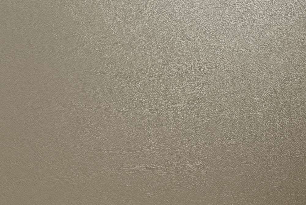 ACME Furniture - Cabriole Side Chair (Set of 2) - Light Gold - DN01483 veiw 6