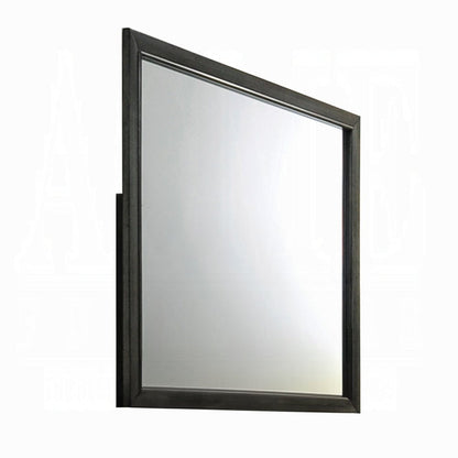 ACME Furniture - Carine II Mirror - 26264 view 1