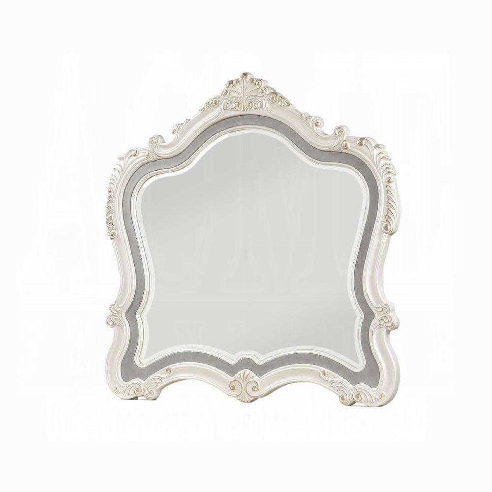 ACME Furniture - Chantelle Mirror - 23544 view 1