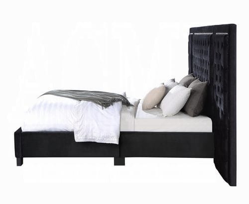 ACME Furniture - Damazy Eastern King Bed - Black Velvet - BD00974EK view 3