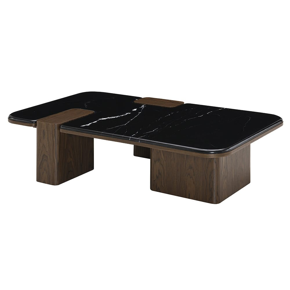ACME Furniture - Dana - Coffee Table w/Natural Marble  - Natural Marble Top & Dark Walnut - LV04595 view 1