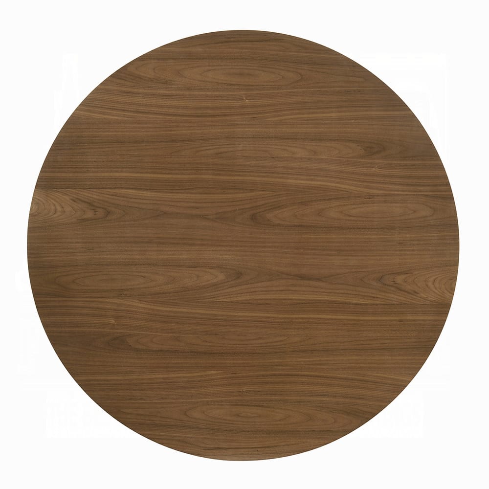 Acme Furniture Delmon Dining Table