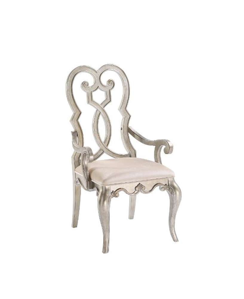ACME Furniture - Esteban Arm Chair (Set of 2) - 62203 veiw 1