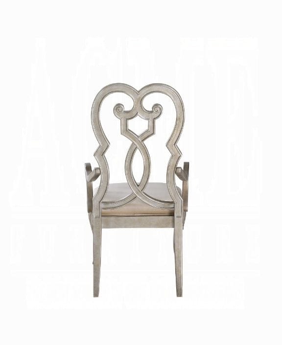 ACME Furniture - Esteban Arm Chair (Set of 2) - 62203 veiw 2