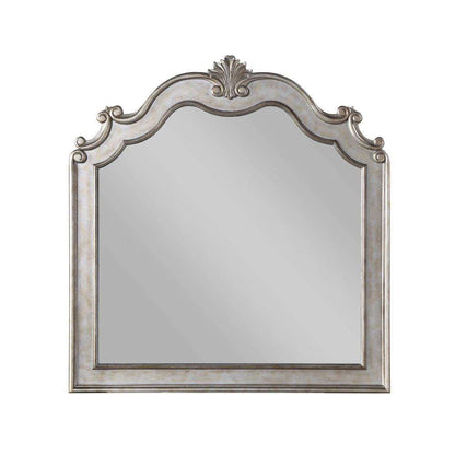 ACME Furniture - Esteban Mirror - 22204 view 1