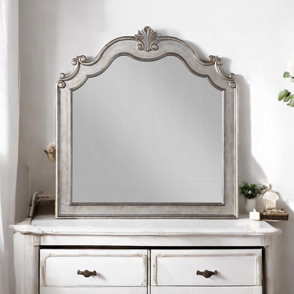 ACME Furniture - Esteban Mirror - 22204 view 2