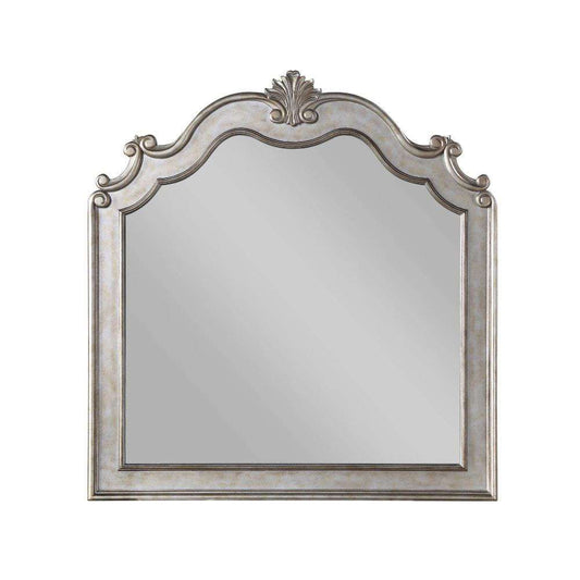 ACME Furniture - Esteban Mirror - 22204 veiw 1