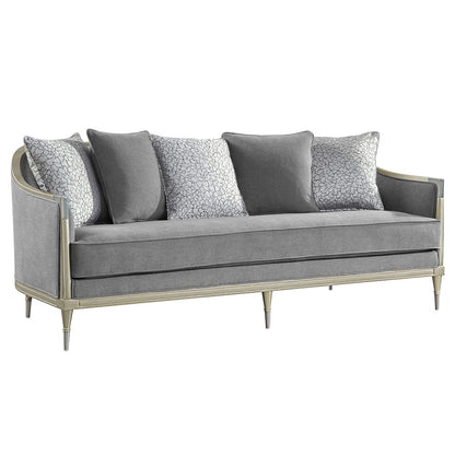 ACME Furniture - Fernando - Sofa w/5 Pillows - Gray Chenille & Champagne  - LV04820 view 1