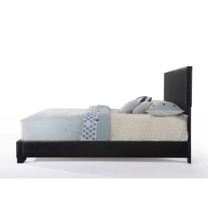 ACME Furniture - Ireland III - Eastern King Bed - Black Synthetic Leather - 14337EK view 5