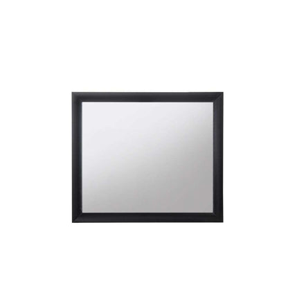 ACME Furniture  -  Ireland Mirror  - 04164 view 1
