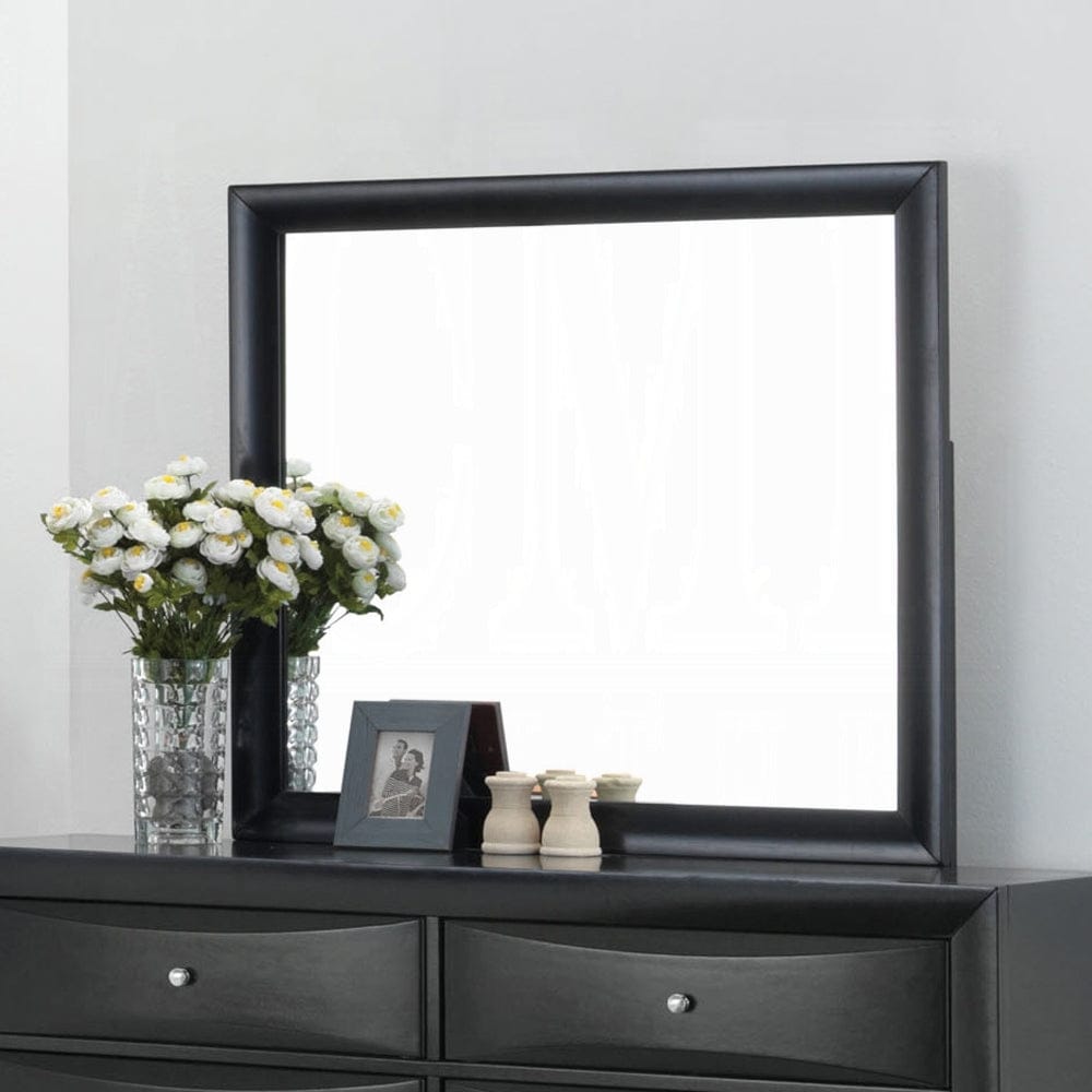 ACME Furniture  -  Ireland Mirror  - 04164 view 2