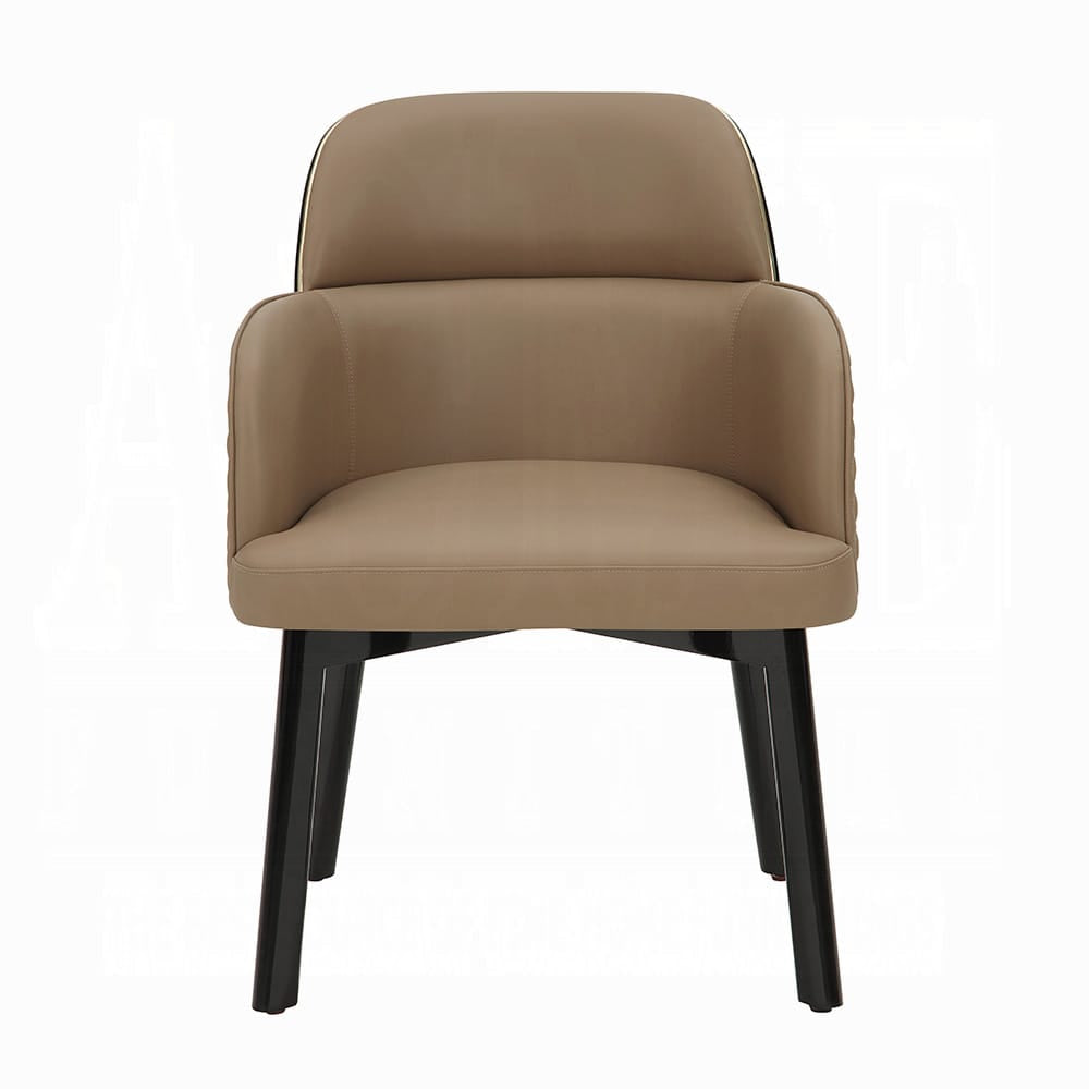 ACME Furniture - Jamonica - Arm Chair  - Brown & Beige Synthetic Leather & Gold  - DN60022 view 2