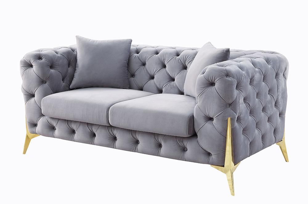 ACME Furniture - Jelanea Loveseat w/2 Pillows - Gray Velvet & Gold Finish - LV01407 veiw 1
