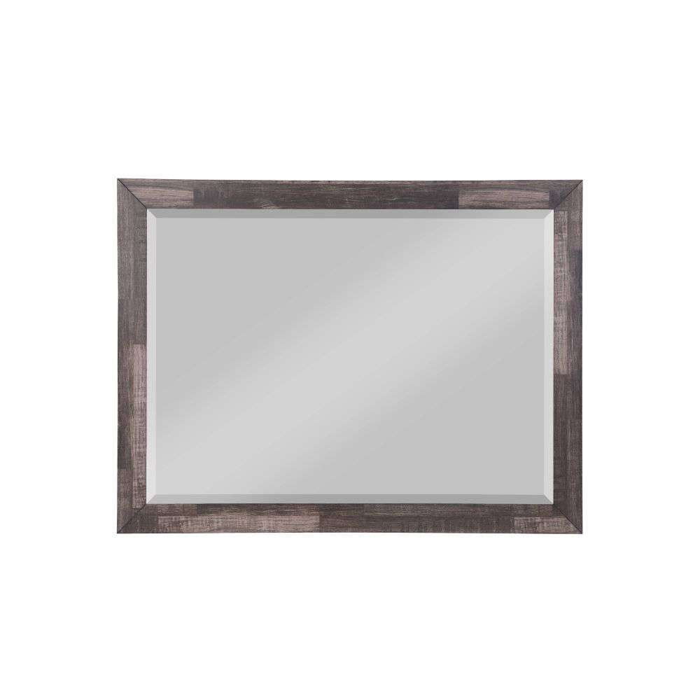 ACME Furniture - Juniper Mirror - 22164 view 1