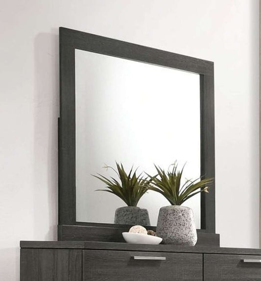 ACME Furniture - Lantha Mirror - 22034 view 2