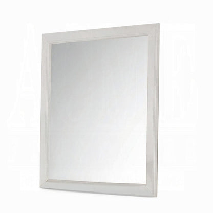 ACME Furniture - Louis Philippe Mirror - 23834 view 1