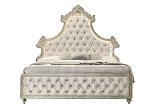 ACME Furniture - Lucienne Queen Bed w/LED - Beige Velvet - BD02335Q view 2