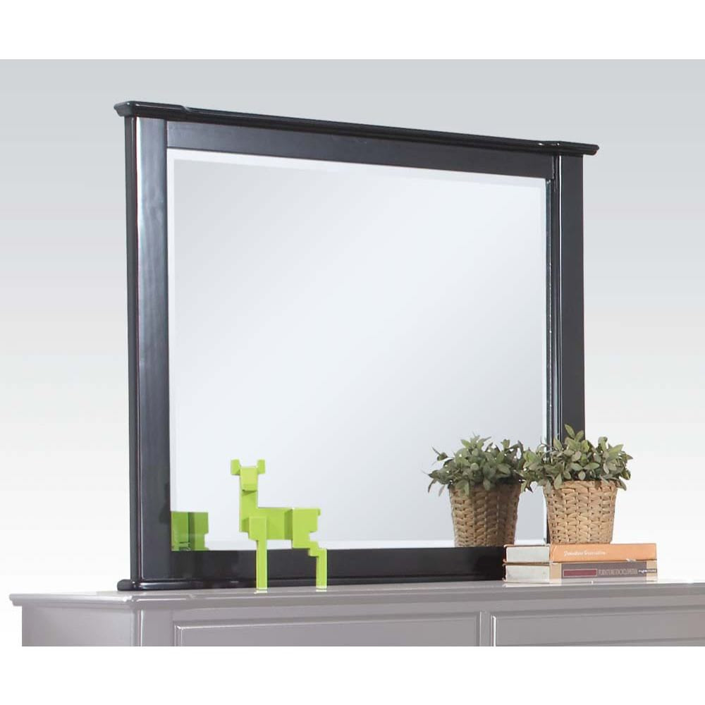 ACME Furniture - Mallowsea - Mirror - Black - 30394 view 1