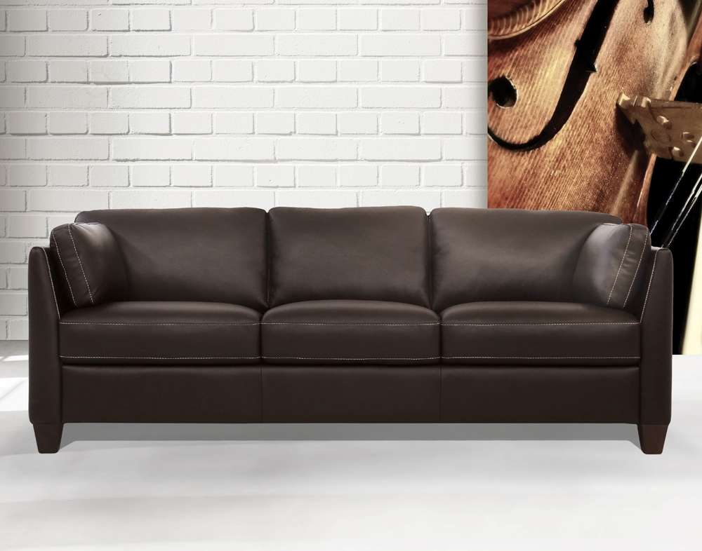 ACME Furniture - Matias Sofa - 55010 view 6