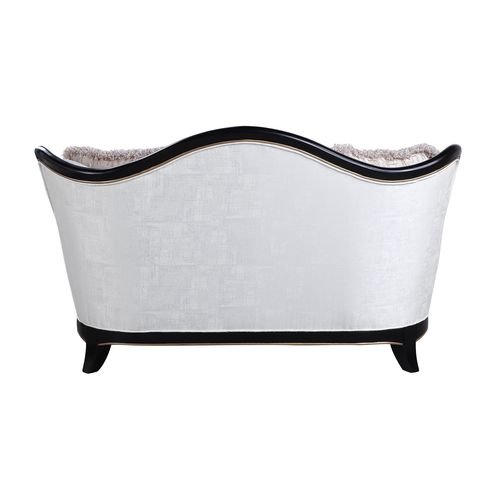 ACME Furniture - Nurmive - Loveseat w/6 Pillows - LV00252 view 4
