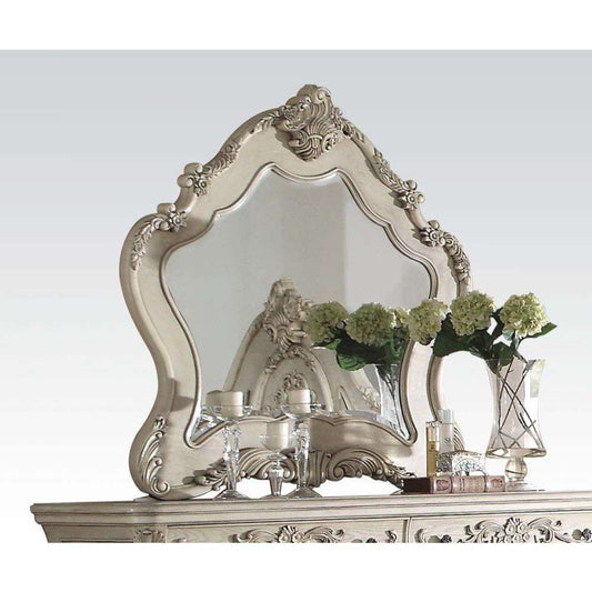 ACME Furniture - Ragenardus Mirror - 27014 veiw 1