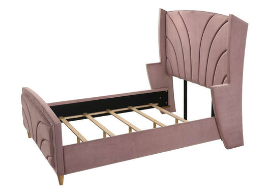 ACME Furniture - Salonia Queen Bed - Pink Velvet - BD01183Q veiw 1