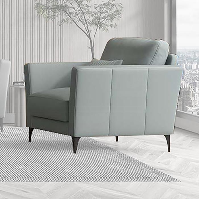 ACME Furniture - Tussio Chair w/Pillow - Watery Top Grain Leather - LV00948 veiw 1
