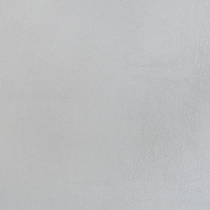 ACME Furniture - Valkyrie Side Chair (Set of 2) - Synthetic Leather, Antique Platinum Finish - DN00690 veiw 5