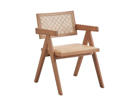 ACME Furniture - Velentina Arm Chair (Set of 2) - Rattan & Natural - DN02373 view 1