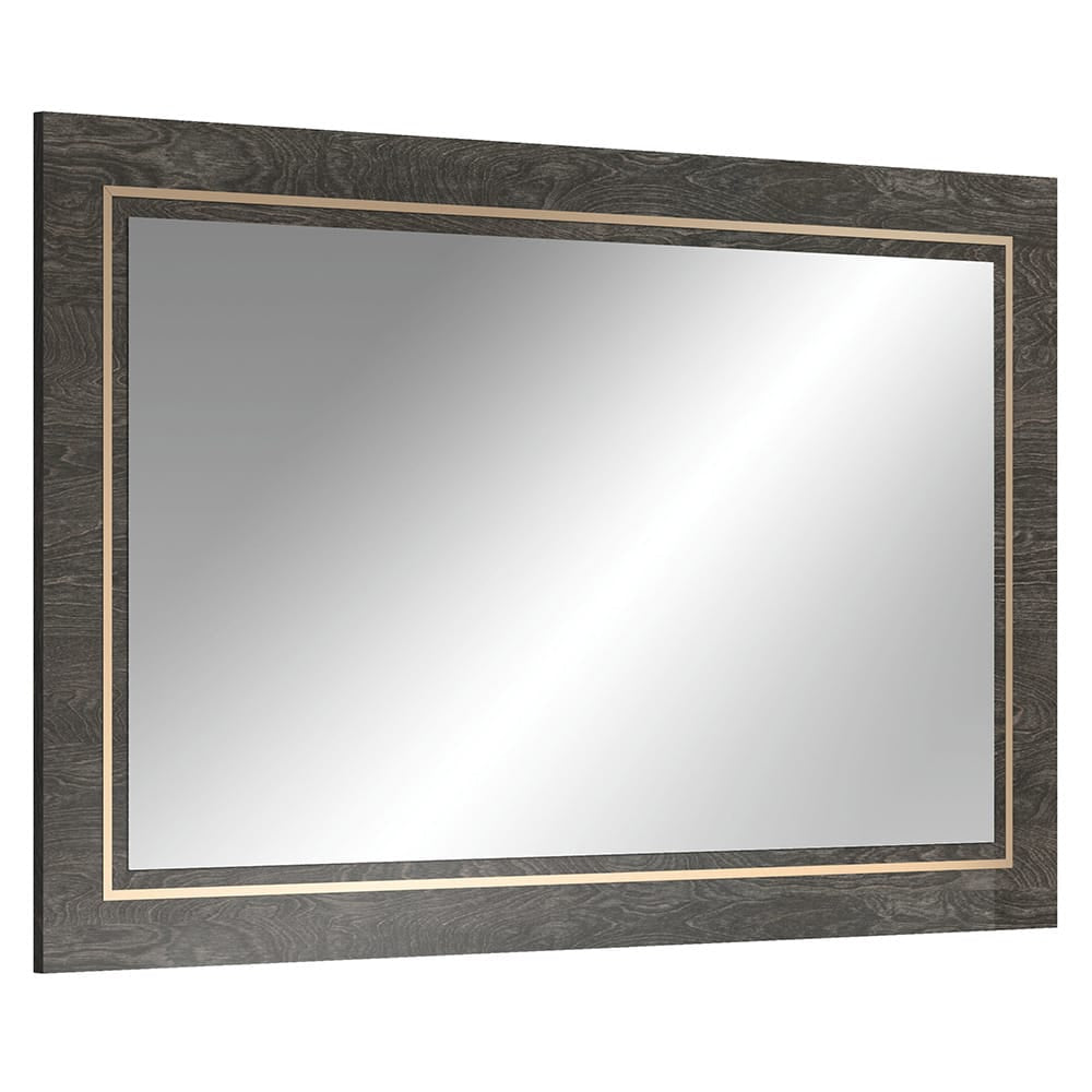 ACME Furniture - Venezia - Accent Mirror - Gray - AC04718 view 1