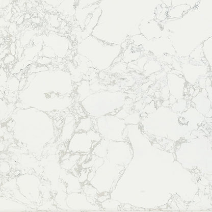 ACME Furniture - Zayn - Dining Table - White Natrual Marble Top & White  - DN04205 view 5