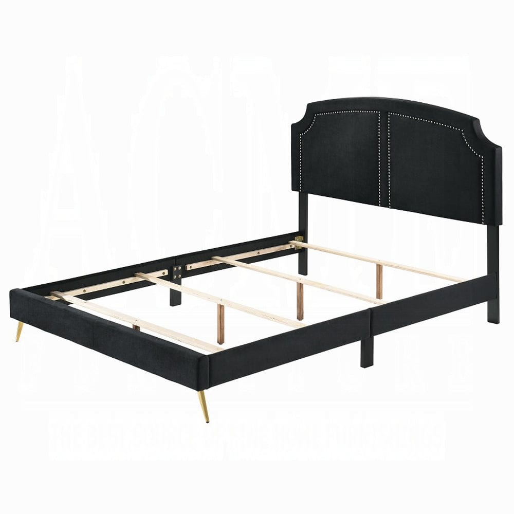 ACME Furniture - Zeena Eastern King Bed - Black Velvet - BD01271EK view 1
