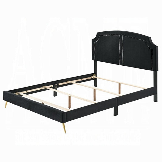 ACME Furniture - Zeena Eastern King Bed - Black Velvet - BD01271EK view 1