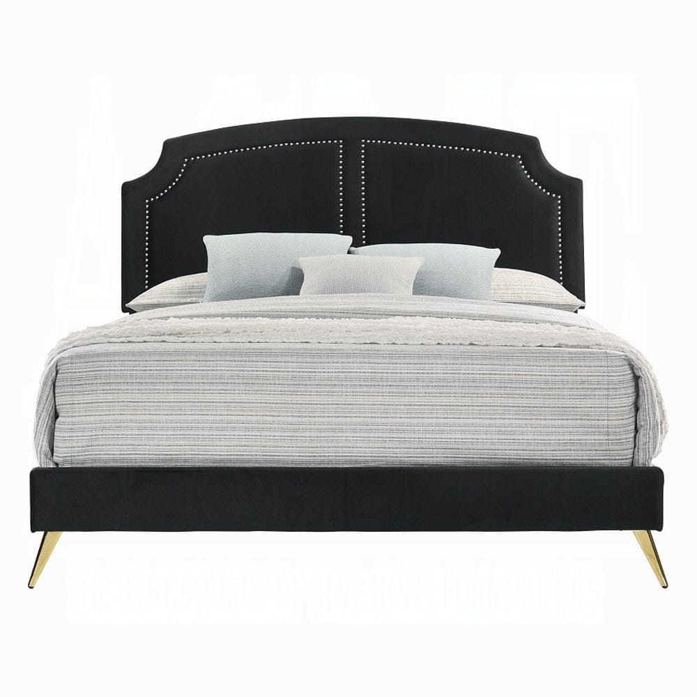 ACME Furniture - Zeena Eastern King Bed - Black Velvet - BD01271EK view 2