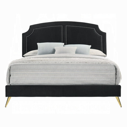 ACME Furniture - Zeena Eastern King Bed - Black Velvet - BD01271EK view 2