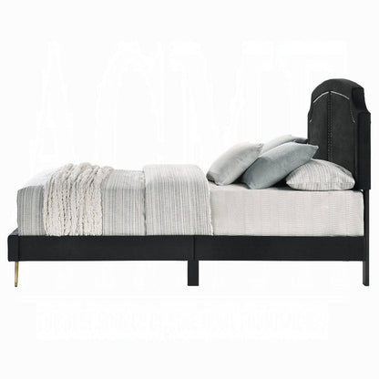 ACME Furniture - Zeena Eastern King Bed - Black Velvet - BD01271EK view 4