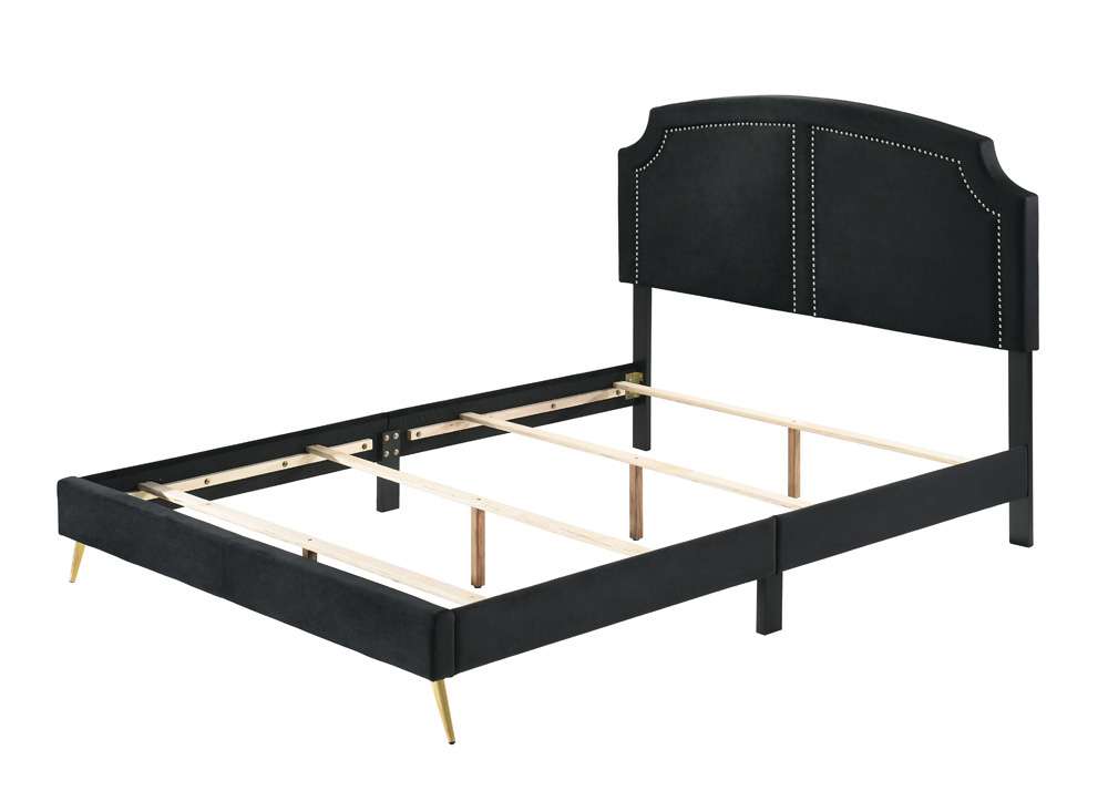 ACME Furniture - Zeena Queen Bed - Black Velvet - BD01176Q veiw 1