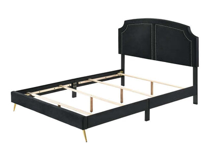 ACME Furniture - Zeena Queen Bed - Black Velvet - BD01176Q veiw 1