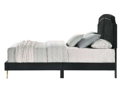 ACME Furniture - Zeena Queen Bed - Black Velvet - BD01176Q veiw 3