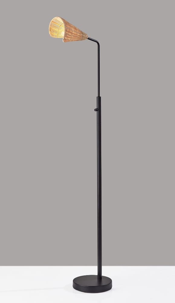Adesso Home - Cove Floor Lamp - 5113-01 view 5