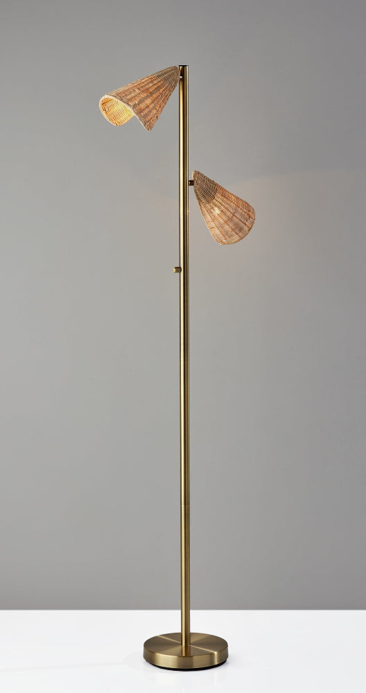 Adesso Home - Cove Tree Lamp - 5114-21 view 5