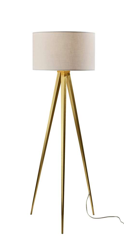Adesso Home - Director Floor Lamp - 6424-21 view 1